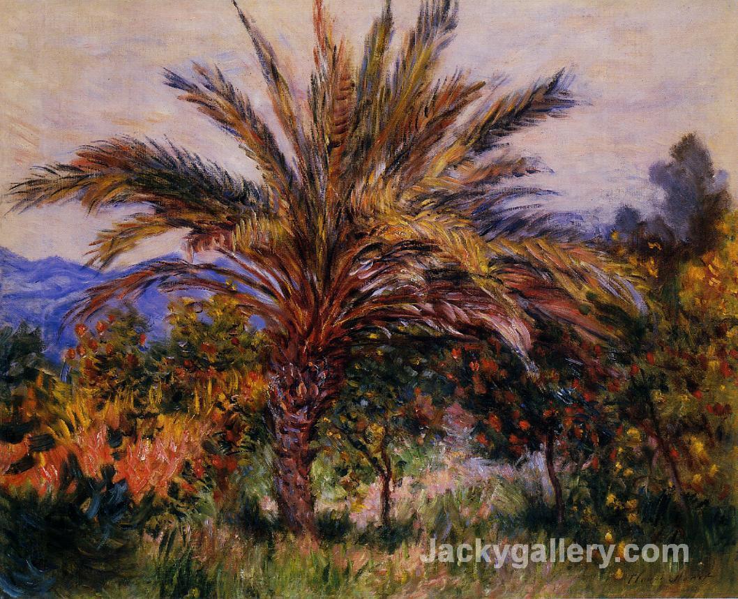 A Palm Tree at Bordighera by Claude Monet paintings reproduction